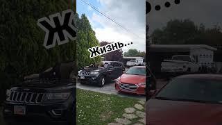 Жизнь...
