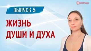 Куда попадает душа после смерти. Цикл Жизнь души и духа. Выпуск 5 | Глазами Души