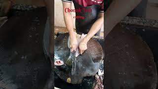 Chonak Fish Cutting #fish  #chonak_fish_cutting #viral  #seafood #shortsvideo #goa #npfishcompanykop