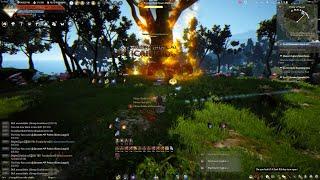 Succ Wizard Grinding be like ... My First Try | BDO