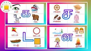 தமிழரசி- க ங ச(உயிர்மெய் எழுத்துக்கள்)|UyirMei Ezhuthukkal |Learn Tamil letters for kids|Tamilarasi