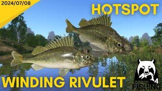 Ruffe Hotspot, Winding Rivulet Russian Fishing 4