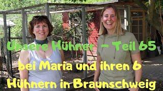 unsere Hühner Teil 65: bei Maria und ihren 6 Hühnern in Braunschweig