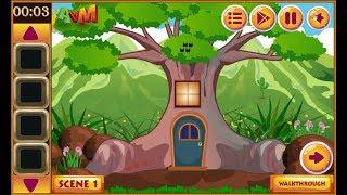 AVM Escape The Forest Door walkthrough AVMGames.