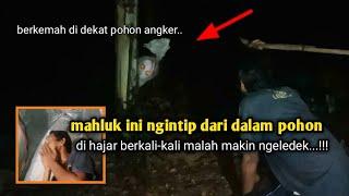 Camping horror, mahluk ini ngintip dari dalam pohon tepat di depan mata, di tampol malah ngeledek