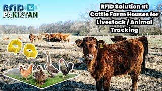 RFID Livestock / Animal Tracking Solution at Cattle Farm Houses