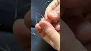 Foraging Spontaneous Seeds for Neolithic Bread