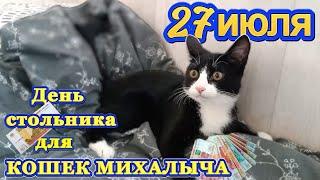 27 июля День стольника для КОШЕК МИХАЛЫЧА.