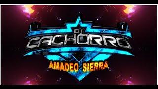 PRESENTACION DJ CACHORRO