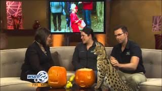 WSBT 22 has a special visitor tell us about Zoo Boo