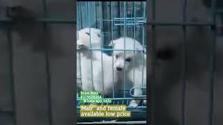 available