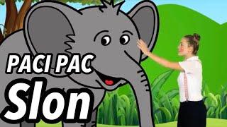 PACI PAC - Slon | Pre deti | Nursery rhymes | Kids songs