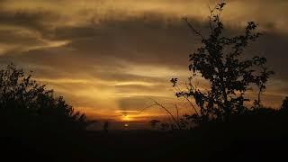 Tchaikovsky- Romance Op. 73 No.1: Mi sideli s toboy (We Sat Together) (arr. I. Mikhnovsky)