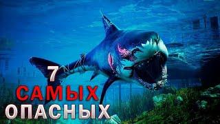 Топ 7 САМЫХ опасных акул