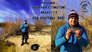 Рыбалка 2021. Фидер. Ход плотвы на Десне 2021. Фидерная  рыбалка.  Рыбалка на Десне.