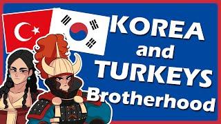 The Unique History and relatioship between Turks and Koreans (illustrated summary)