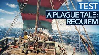 Mein Gott, ist das schön... besonders auf dem PC! - A Plague Tale: Requiem im Test / Review