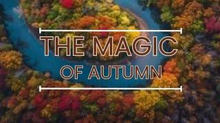 THE MAGIC OF AUTUMN FISHING