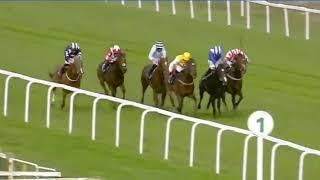 Yarmouth Horse Racing Full Highlights! October 20th 2020