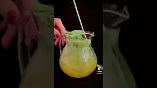 Как приготовить коктейль цитрусовый