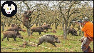 Florida Wild Boar Hunt When Nature Becomes A Battlefield - Crazy Farmer Chases Destructive Wild Hog