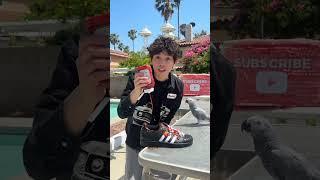 This Video Is 2 Seconds Long #asher #shorts
