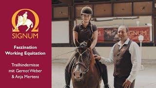 Working Equitation mit Gernot Weber und Anja Mertens