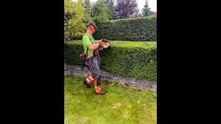 Garden work: trimming hedges and shrubs