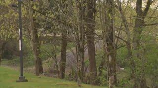 Searching for an attacker in Oregon City