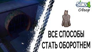 Все способы стать оборотнем в Симс 4