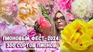 300 сортов самых красивых пионов на выставке Пионовый фест-2024