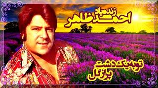 Ahmad Zahir  -  تو به یک دشت پر از گل