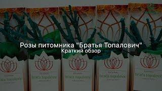 Розы питомника Imperial Rose. Обзор саженцев почтой.