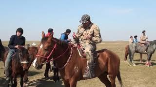 Төреарық ауылы руы Төре Наурызбек мырзаның елден бата алу көкпары 26.02.2022 жыл.