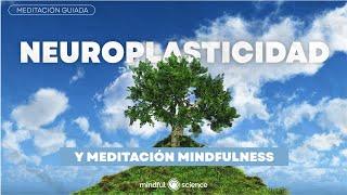 NEUROPLASTICIDAD cerebral y MEDITACIÓN MINDFULNESS ~ Mindful Science Podcast~