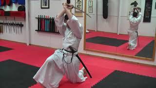 2014-01-01 Iaido all students
