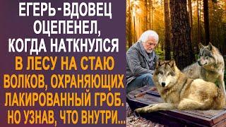 Егерь-вдовец оцепенел, когда наткнулся в лесу на стаю волков. Но узнав, что волки охраняют...