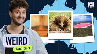 Six truly bizarre things about Australia — explained by science | Weird Australia | ABC Science