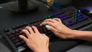 Max Keyboard Durandal G1NL Cherry MX Brown O-Rings Sound and Typing Speed Comparison