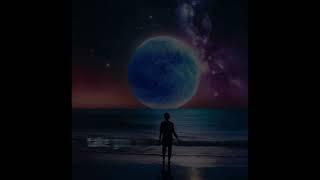 Mooniverse Song By The BUSHWHISPERER