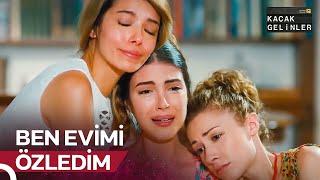 Gurbet İlde Bir Başıma Neyleyim? | Günlük Şebnem Dozu #17