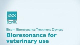 Bicom Bioresonance for Vets