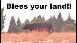 Bless your land