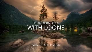 Loons Sleep Music / Relaxing Sounds of Loon Calls at Night With Thundershowers️