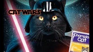 CATFLIX - CAT WARS