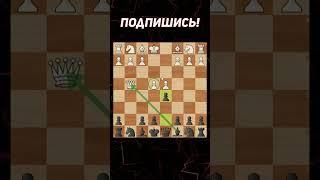 Самая Безумная Ловушка В Шахматах!