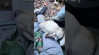 Part 3: I Took My Guide Dog Camping #guidedog #camping #dog #backpacking #visuallyimpaired #dogs