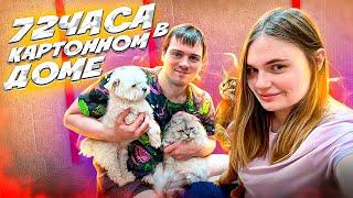 72 ЧАСА В КАРТОННОМ ДОМЕ С ЖИВОТНЫМИ | ИГРОВАЯ ДЛЯ КОТОВ