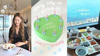 weekly vlog  birthday, sokcho trip, cafe hopping, bukchon hanok village, company dinner