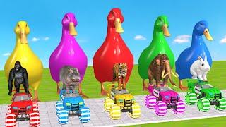 5 Giant Duck Cartoon, Cow, Mammoth, Elephant, Lion, Paint Wild Animals Crossing Fountain Animation